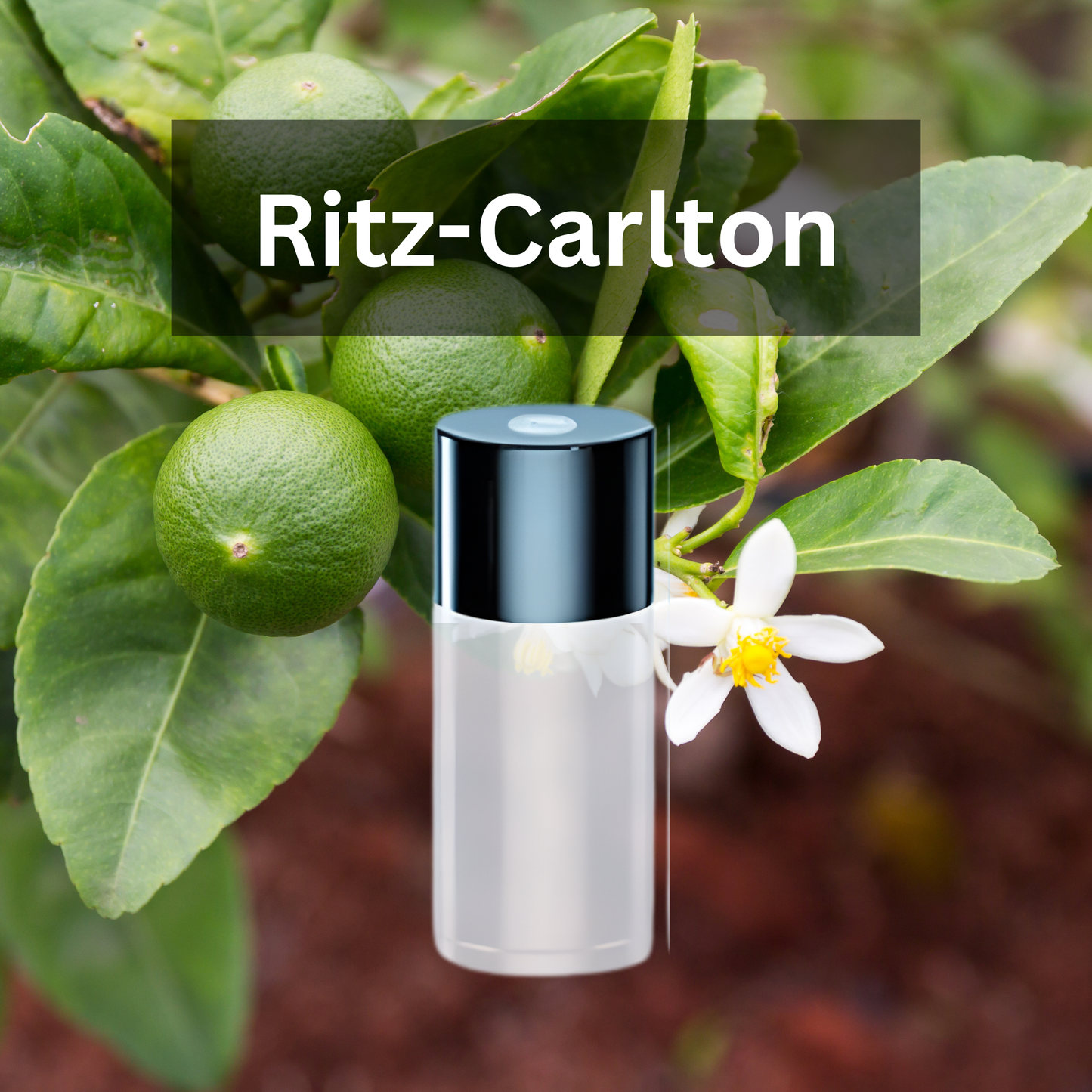 3 x Essential Oil Car Aroma for Air Freshener Diffuser Fragrance