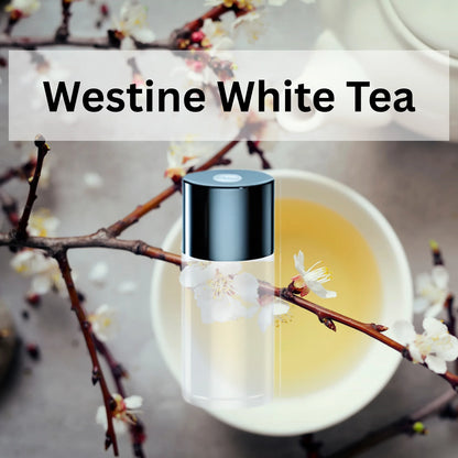 3 x Essential Oil Car Aroma for Air Freshener Diffuser Fragrance