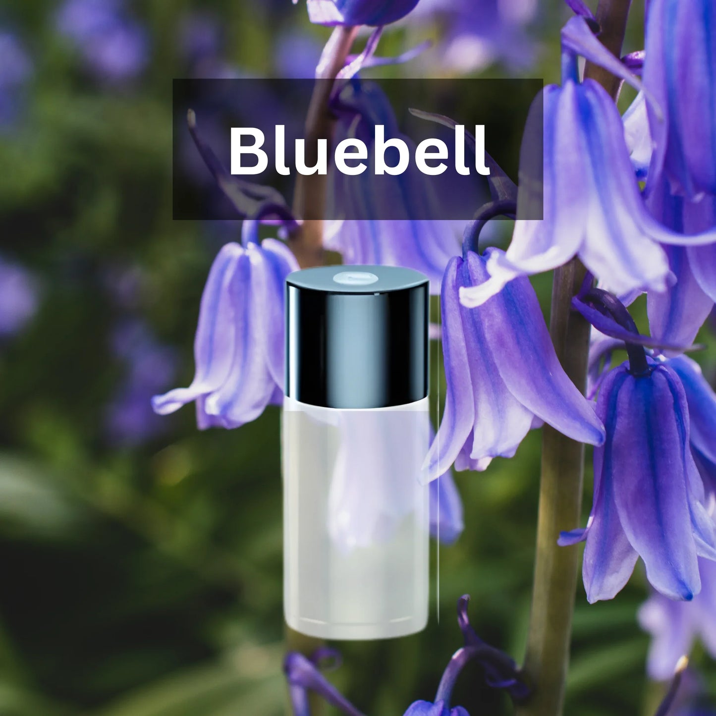 3 x Essential Oil Car Aroma for Air Freshener Diffuser Fragrance