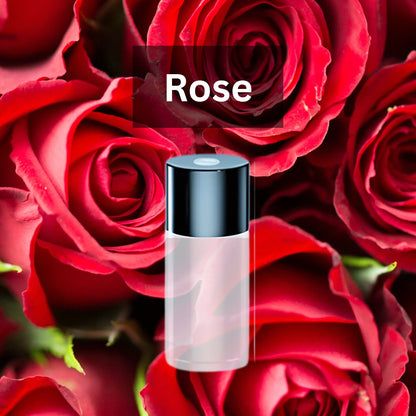 3 x Essential Oil Car Aroma for Air Freshener Diffuser Fragrance